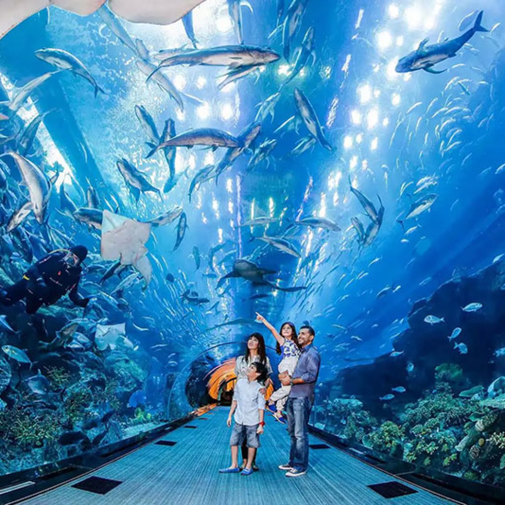dubai-aquarium-and-underwater-zoo-thumb